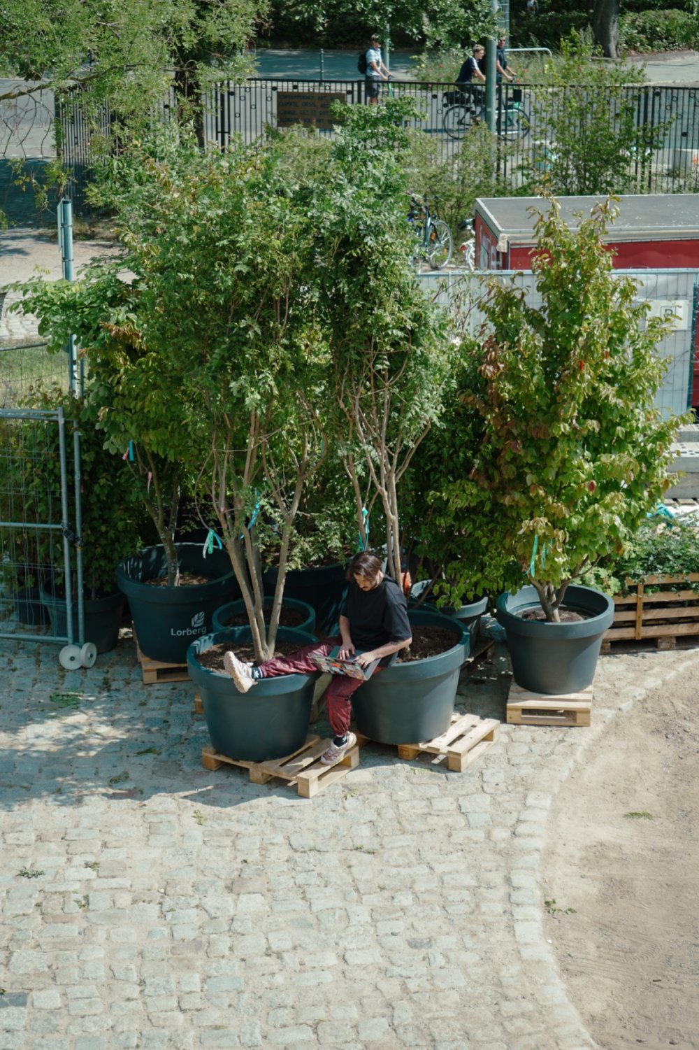 Enter The Crack, ZK/U, 2025. Photo: Elisa Georgi