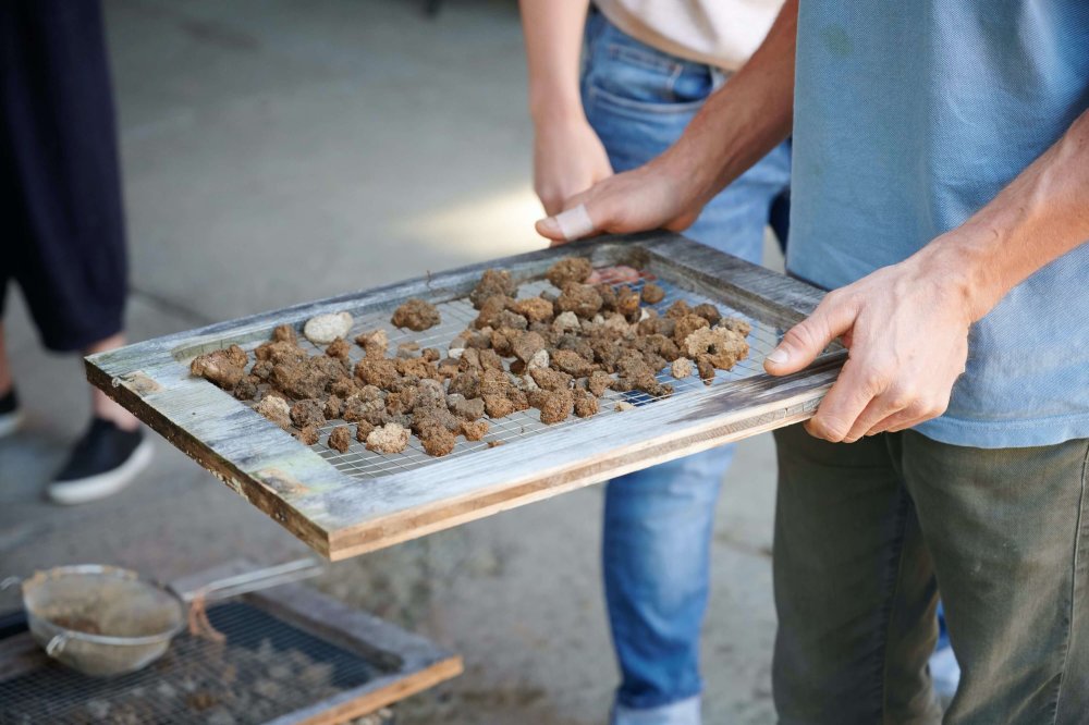 performing soil 2