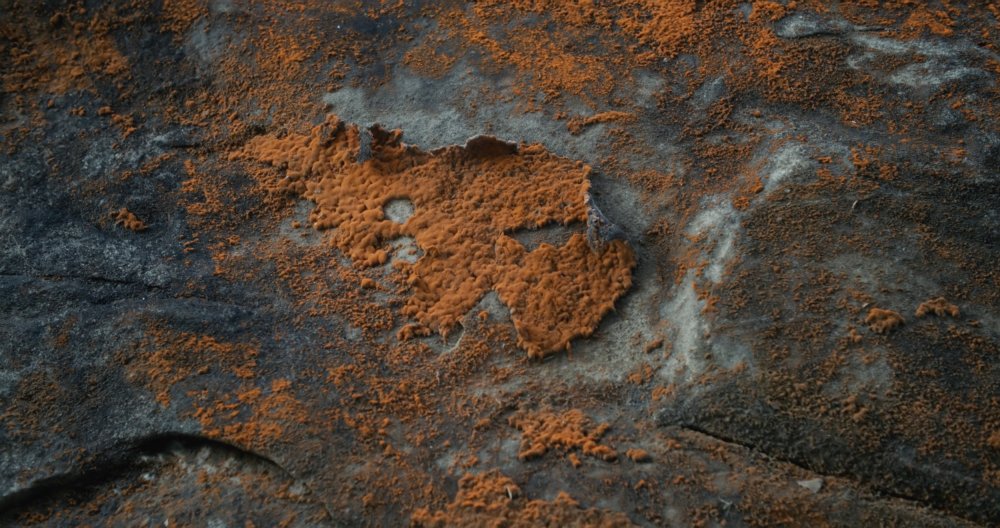 Die Haube (The Headgear), 2026, Film Still (Sasha Kulak)